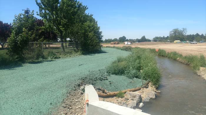 IMG_20170530_132534271